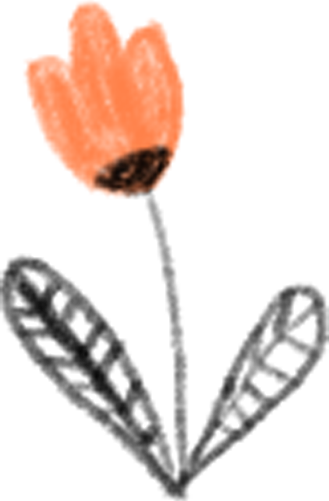 1594456552610628.png 640 (1).png